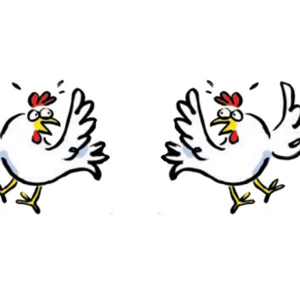 Juana the Hen Chases her Egg