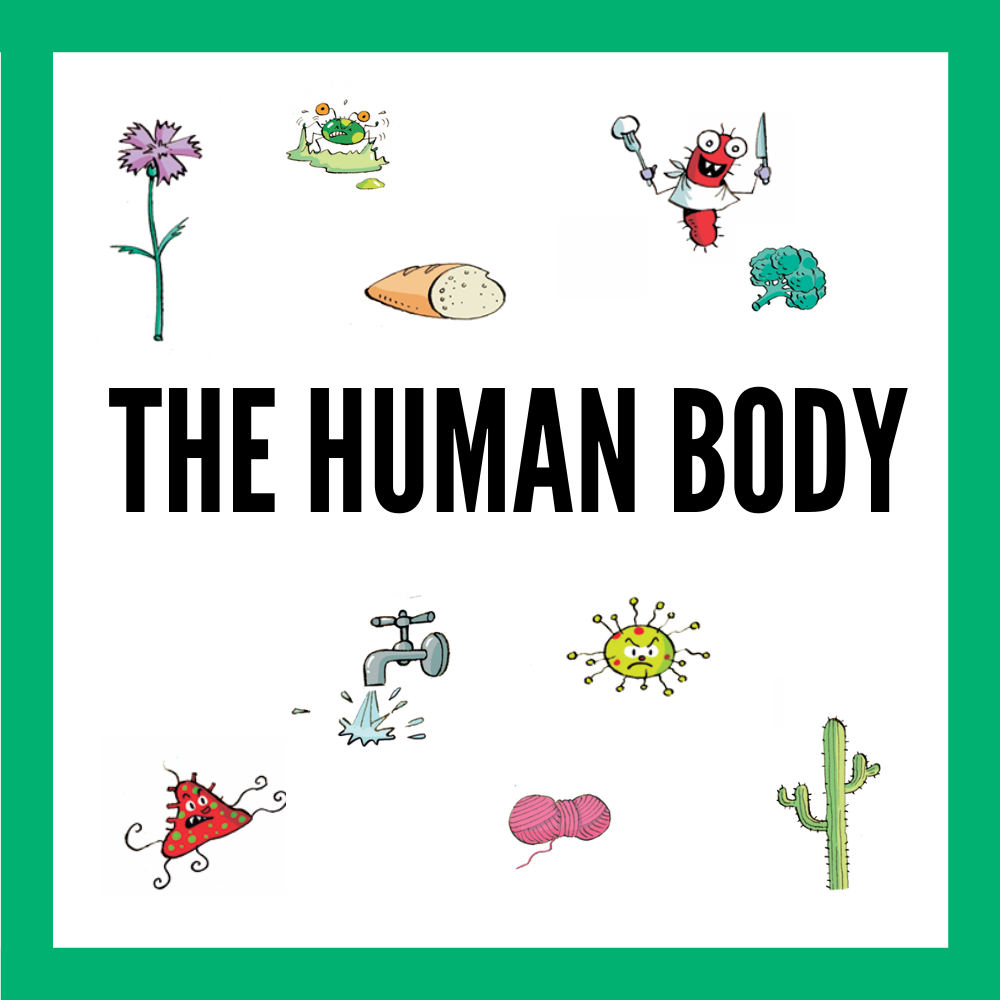 Combel Editorial. Colección 